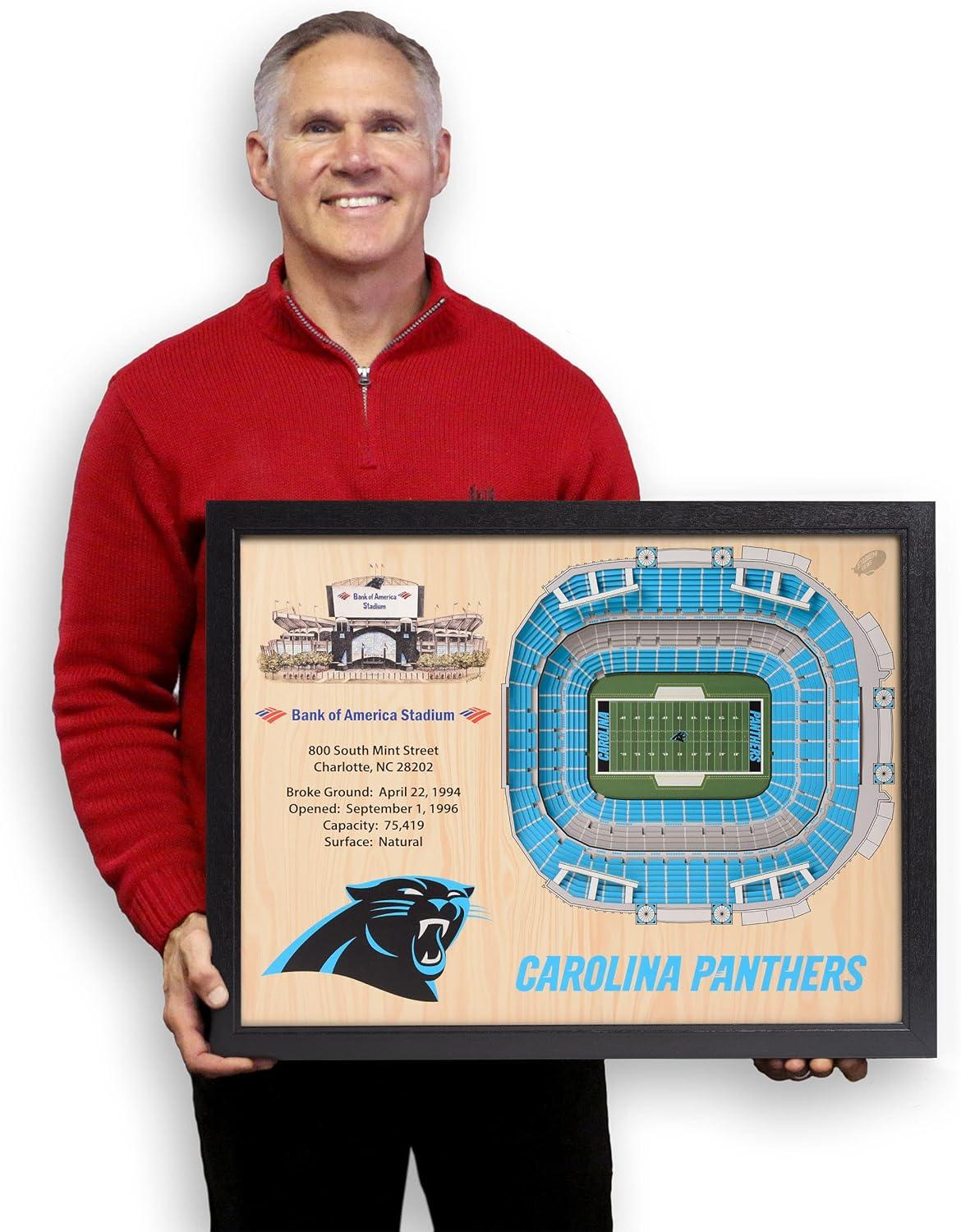 imageYouTheFan NFL 25Layer StadiumView Wall ArtCarolina Panthers