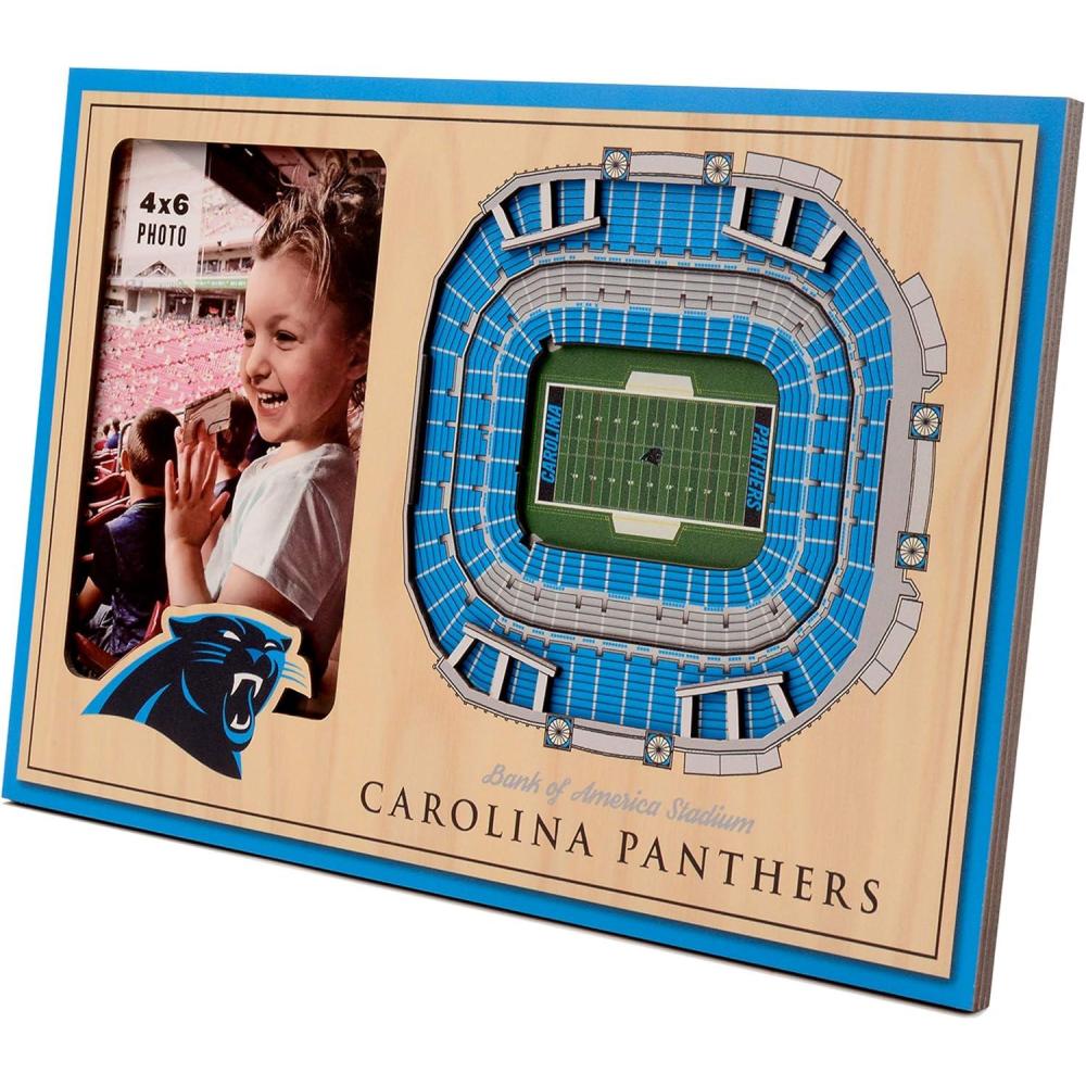 imageYouTheFan NFL Arizona Cardinals 3D StadiumViews Picture FrameCarolina Panthers