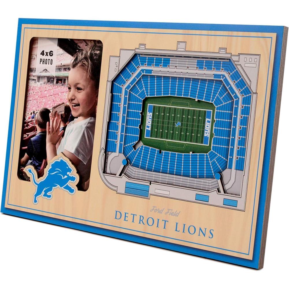 imageYouTheFan NFL Arizona Cardinals 3D StadiumViews Picture FrameDetroit Lions