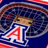 YouTheFan NCAA 3D StadiumView Coasters(Arizona Wildcats)