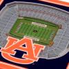 YouTheFan NCAA 3D StadiumView Coasters(Auburn Tigers)