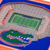 YouTheFan NCAA 3D StadiumView Coasters(Florida Gators)