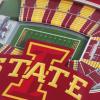 YouTheFan NCAA 3D StadiumView Coasters(Iowa State Cyclones)
