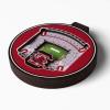 YouTheFan NCAA 3D StadiumView Ornament(South Carolina Gamecocks)