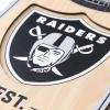 YouTheFan NFL 3D Stadium Banner – 6×19(Las Vegas Raiders)