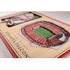 YouTheFan NFL Arizona Cardinals 3D StadiumViews Picture Frame(Atlanta Falcons)