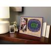 YouTheFan NFL Arizona Cardinals 3D StadiumViews Picture Frame(Baltimore Ravens)