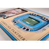 YouTheFan NFL Arizona Cardinals 3D StadiumViews Picture Frame(Carolina Panthers)