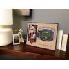 YouTheFan NFL Arizona Cardinals 3D StadiumViews Picture Frame(Chicago Bears)
