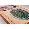 YouTheFan NFL Arizona Cardinals 3D StadiumViews Picture Frame(Cincinnati Bengals)