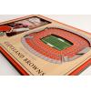 YouTheFan NFL Arizona Cardinals 3D StadiumViews Picture Frame(Cleveland Browns)