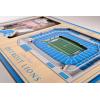 YouTheFan NFL Arizona Cardinals 3D StadiumViews Picture Frame(Detroit Lions)
