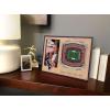 YouTheFan NFL Arizona Cardinals 3D StadiumViews Picture Frame(Houston Texans)