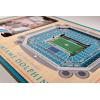 YouTheFan NFL Arizona Cardinals 3D StadiumViews Picture Frame(Miami Dolphins)