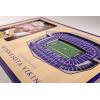 YouTheFan NFL Arizona Cardinals 3D StadiumViews Picture Frame(Minnesota Vikings)