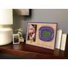 YouTheFan NFL Arizona Cardinals 3D StadiumViews Picture Frame(Minnesota Vikings)