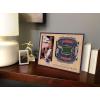 YouTheFan NFL Arizona Cardinals 3D StadiumViews Picture Frame(New England Patriots)