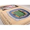 YouTheFan NFL Arizona Cardinals 3D StadiumViews Picture Frame(New Orleans Saints)