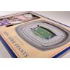 YouTheFan NFL Arizona Cardinals 3D StadiumViews Picture Frame(New York Giants)
