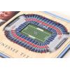 YouTheFan NFL Arizona Cardinals 3D StadiumViews Picture Frame(Tennessee Titans)