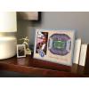 YouTheFan NFL Arizona Cardinals 3D StadiumViews Picture Frame(Tennessee Titans)