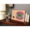 YouTheFan NFL Unisex 3D StadiumViews Desktop Display(Arizona Cardinals)