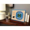 YouTheFan NFL Unisex 3D StadiumViews Desktop Display(Carolina Panthers)