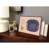 YouTheFan NFL Unisex 3D StadiumViews Desktop Display(Minnesota Vikings)