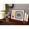 YouTheFan NFL Unisex 3D StadiumViews Desktop Display(New York Giants)