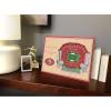 YouTheFan NFL Unisex 3D StadiumViews Desktop Display(San Francisco 49ers)