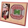YouTheFan NFL Arizona Cardinals 3D StadiumViews Picture Frame(Arizona Cardinals)