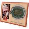 YouTheFan NFL Arizona Cardinals 3D StadiumViews Picture Frame(Cincinnati Bengals)