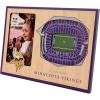 YouTheFan NFL Arizona Cardinals 3D StadiumViews Picture Frame(Minnesota Vikings)