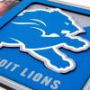 YouTheFan NFL 3D Logo Picture Frame(Detroit Lions)