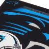 YouTheFan NFL 3D Logo Series Coaster(Carolina Panthers)
