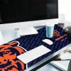 YouTheFan NFL Logo Series Deskpad(Chicago Bears)