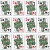 YouTheFan NCAA Classic Series Playing Cards(Colorado State Rams)