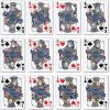 YouTheFan NCAA Classic Series Playing Cards(Florida Gators)