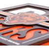 YouTheFan NFL Arizona Cardinals Slogan Series 3D Wall Art(Chicago Bears)