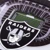 YouTheFan NFL Green Bay Packers 3D StadiumView Coasters – Lambeau Field(Las Vegas Raiders)