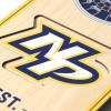 YouTheFan NHL 3D Stadium 6×19 Banner(Nashville Predators)