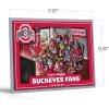 YouTheFan Officially-licensed NCAA Purebred 3D Wall Art – Humorous original hand-drawn cartoon artwork, multi-layer, funny gift, indoor team decor(Ohio State Buckeyes)