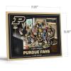 YouTheFan Officially-licensed NCAA Purebred 3D Wall Art – Humorous original hand-drawn cartoon artwork, multi-layer, funny gift, indoor team decor(Purdue Boilermakers)