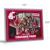 YouTheFan Officially-licensed NCAA Purebred 3D Wall Art – Humorous original hand-drawn cartoon artwork, multi-layer, funny gift, indoor team decor(Washington State Cougars)