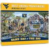 West Virginia Mountaineers