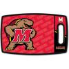 Maryland Terrapins
