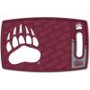 Montana Grizzlies