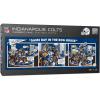 YouTheFan NFL Game Day in The Dog House – 1000pc Puzzle(Indianapolis Colts)
