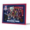 Arizona Wildcats