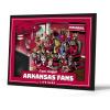 Arkansas Razorbacks